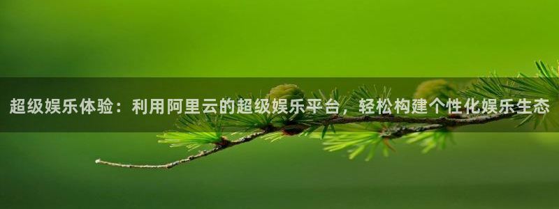 华润娱乐：超级娱乐体验：利用阿里云的超级娱乐平台，轻松构建个性化娱乐生态