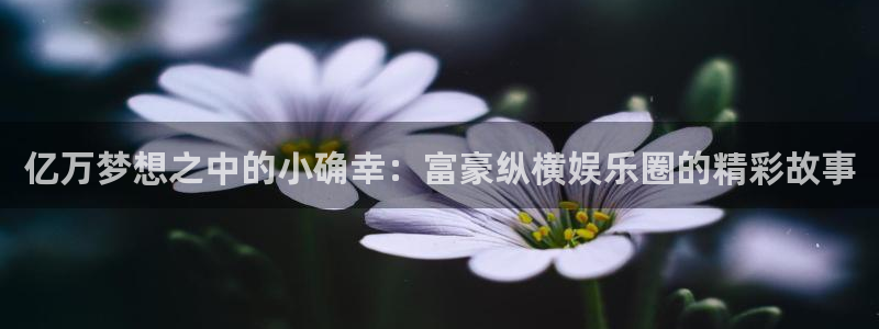 华润娱乐注册链接：亿万梦想之中的小确幸：富豪纵横娱乐圈的精彩故事