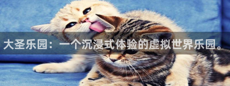 华润娱乐官方网站入口：大圣乐园：一个沉浸式体验的虚拟世界乐园。