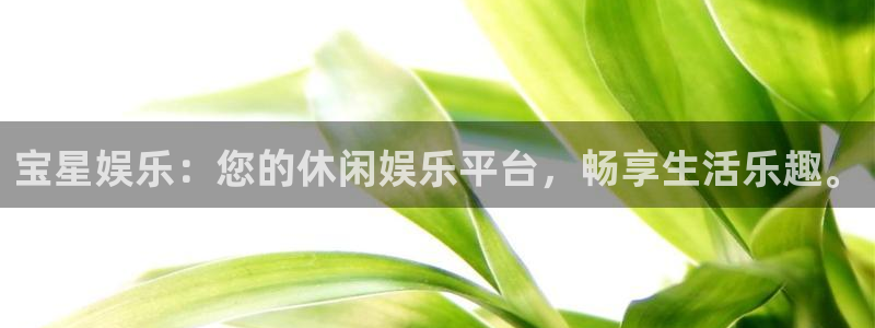 华润娱乐：宝星娱乐：您的休闲娱乐平台，畅享生活乐趣。