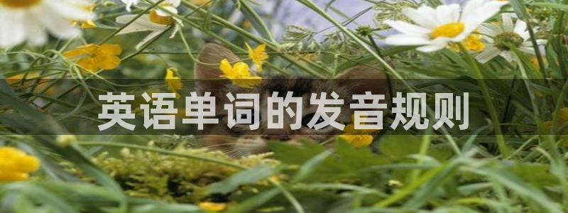 华润娱乐：英语单词的发音规则