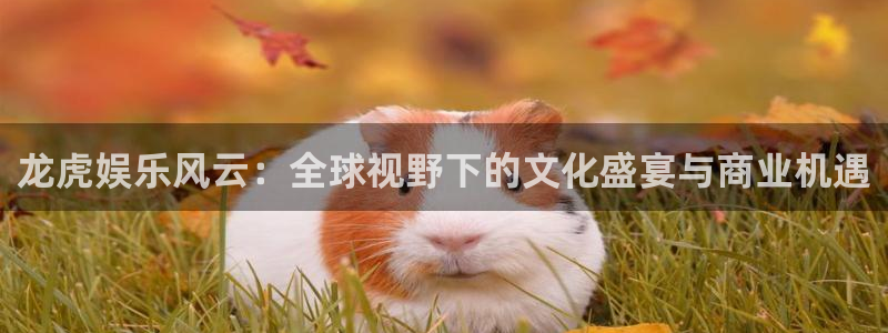 华润娱乐官方网站入口：龙虎娱乐风云：全球视野下的文化盛宴与商业机遇