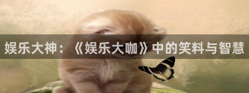 华润娱乐官方网站入口：娱乐大神：《娱乐大咖》中的笑料与智慧