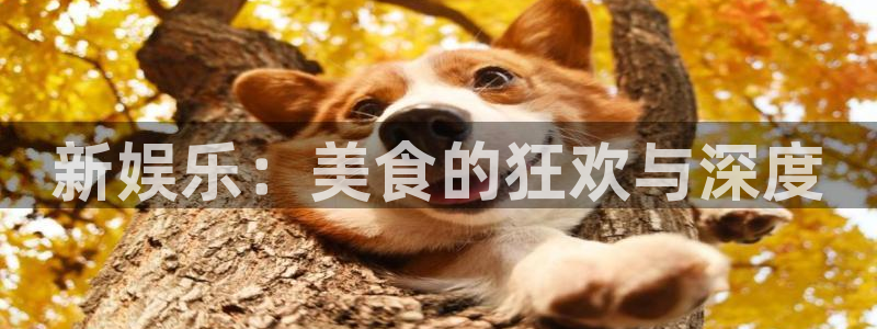 华润娱乐官方网站入口：新娱乐：美食的狂欢与深度